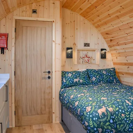 Beech - Uk47622 * Hunmanby