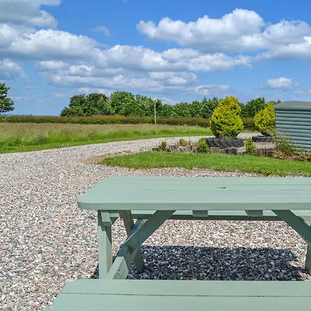 Beech - Uk47622 * Hunmanby