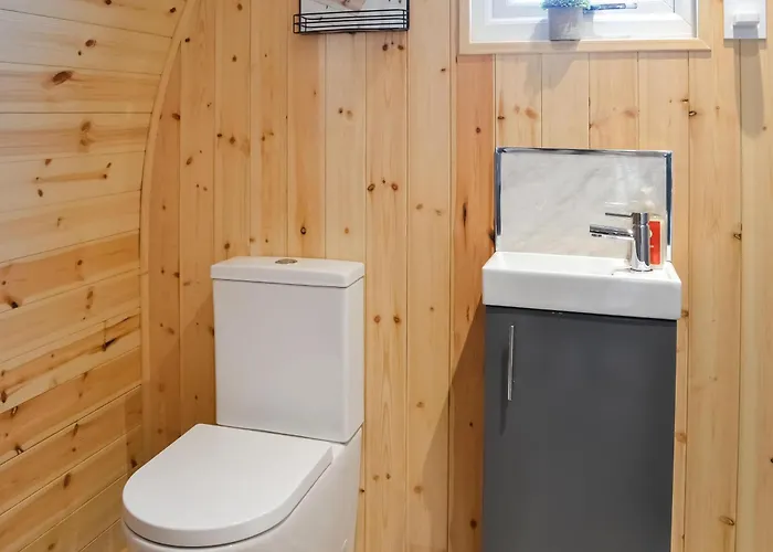 Beech - Uk47622 Hunmanby