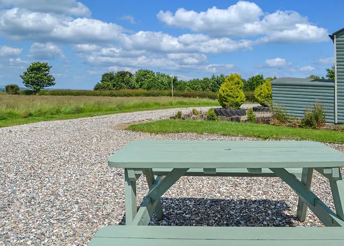 Beech - Uk47622 * Hunmanby