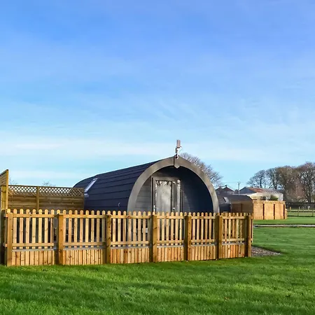 Beech - Uk47622 헌맨비