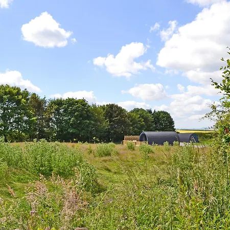 펜션 Beech - Uk47622